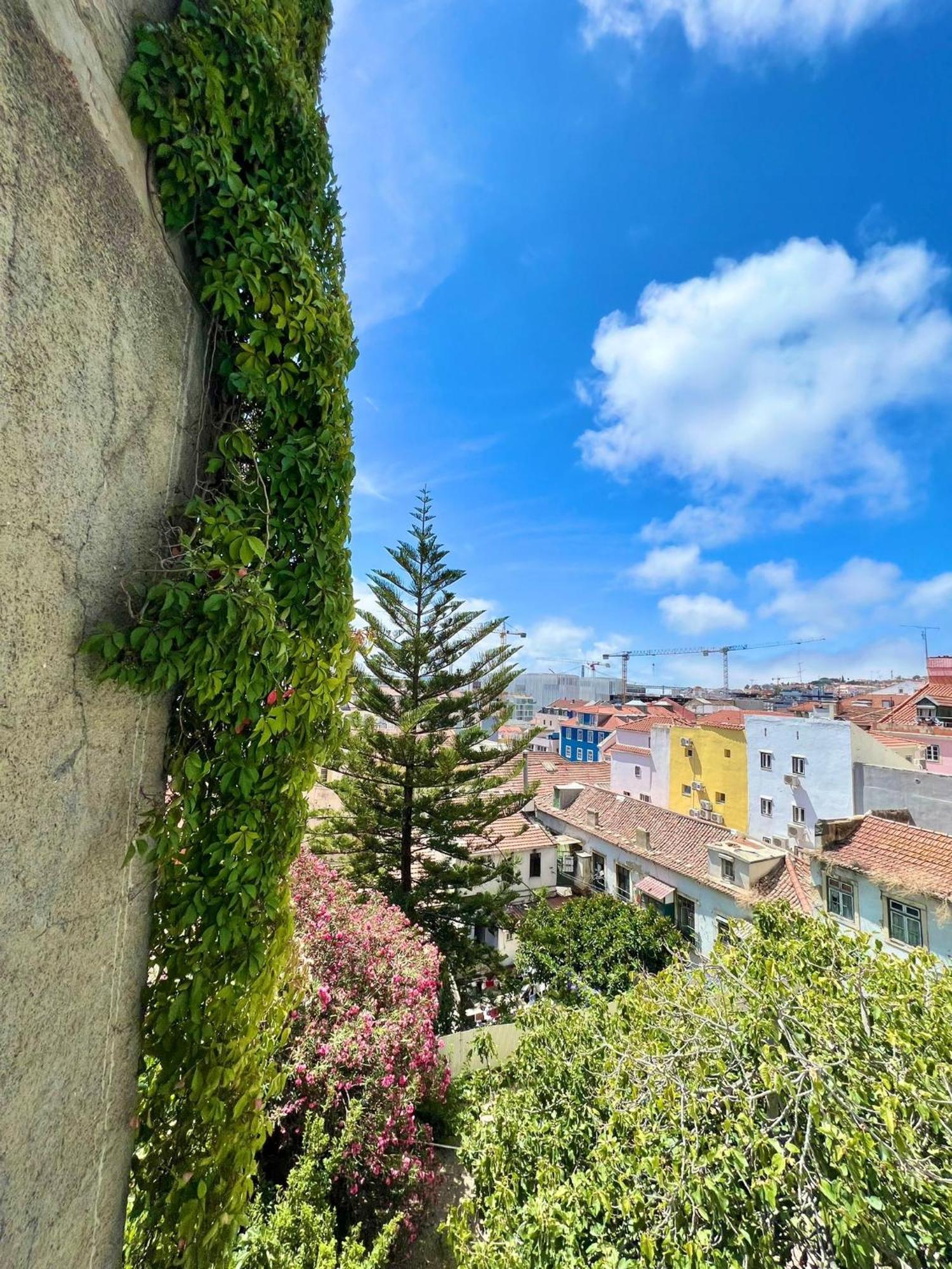 Frank'S House & Happy Downtown Apartment Lisbon Exterior photo
